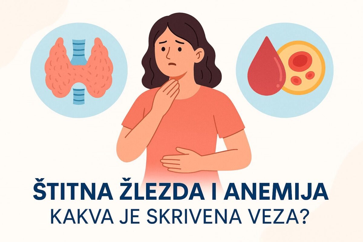 Štitna žlezda i anemija - Kakva je skrivena veza